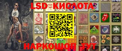 прущие грибы Заводоуковск
