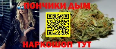 прущие грибы Заводоуковск